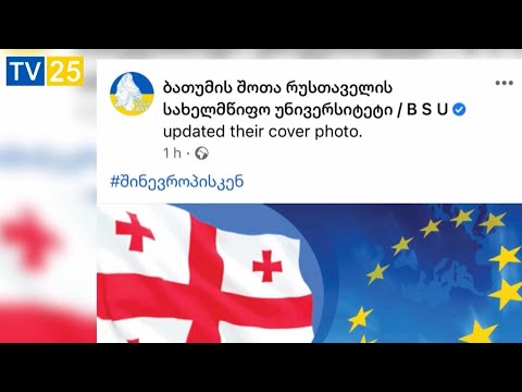 რატომ წაშალა ბსუ-მ პროევროპული აქციის მხარდამჭერი პოსტი გამოქვეყნებიდან რამდენიმე საათში?
