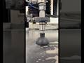 It’s a drive by water jetting. Don’t blink or you’ll miss it.#sendcutsend #waterjet