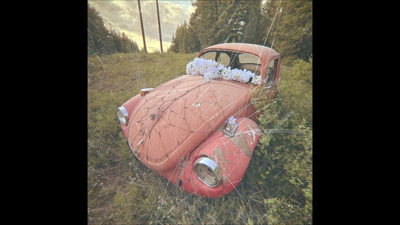 洋楽 TALL-D & SYPHA NOW R NEVER Tripp NYC Super D-Ring Pants [Black] – VampireFreaks