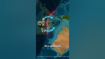 Why Animals Don’t Cross This Invisible Border  #Wallace Line