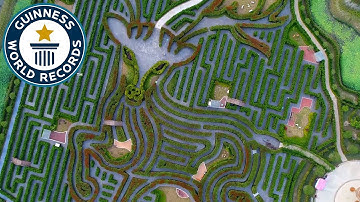 Largest hedge maze - Guinness World Records