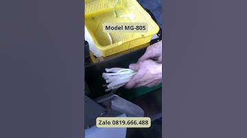 Máy cắt đa năng sản phẩm hành lá |Thiết Bị Cắt Rau Củ Quả|