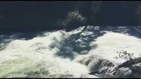 الشيخ هشام المقدشي ،  يمني ، أم المصلين بعدة مساجد بالكويت ، آيات من سورة غافر .