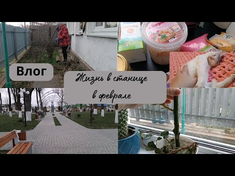 Простая жизнь в станице // Прибираю участок // Покупаю продукты // Готовлю // Нюркина жизнь