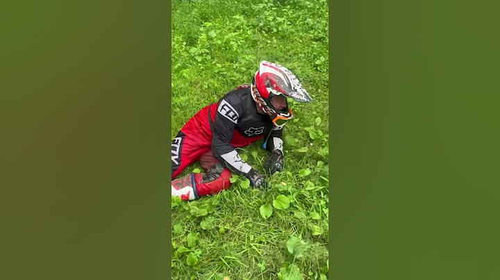 Нахуя мы сюда поехали?
