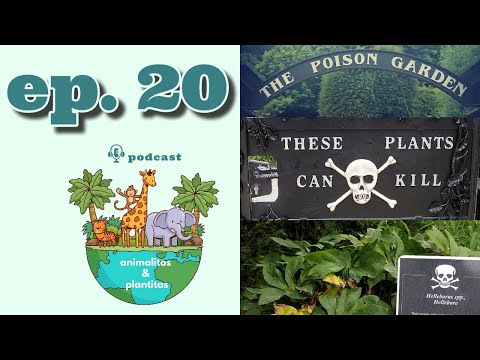 🎧 PODCAST animalitos & plantitas • EP20 El jardín de los venenos
