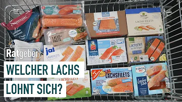 Kann man Bio Lachs bedenkenlos essen?