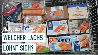 Fisch im Test – Lecker Lachs oder lieber nicht? | Die Ratgeber screenshot 2