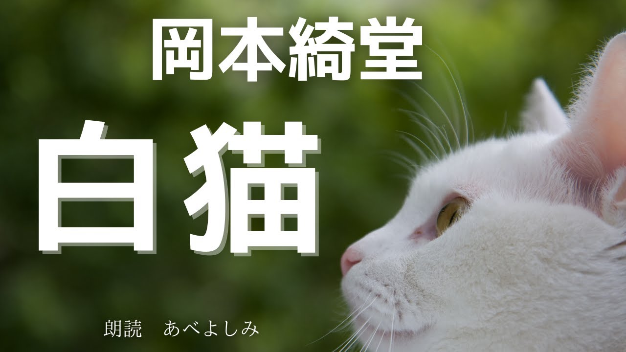 【朗読】岡本綺堂 「白猫」　朗読・あべよしみ