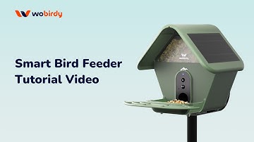 WoBirdy Smart Bird Feeder Tutorial Video