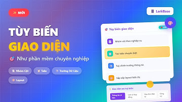 Tuỳ biến giao diện bản ghi của larkbase như một phần mềm chuyên nghiệp