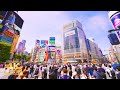 4K] Shibuya, an amazing city walk / 渋谷 散歩