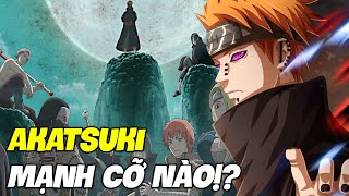 Origin & Power of Akatsuki Members in Naruto?