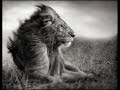 Photographer Spotlight: Nick Brandt