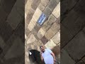 وكالة السلطان الغوري  تحفة تستحق المشاهدة والزيارة في حي الأزهر العريق