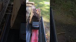HARBOR FREIGHT 5 TON ELECTRIC LOG SPLITTER