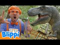Blippi e o grande dinossauro 🦖 MARATONA DO BLIPPI! 🔵 Vídeos Educativos em Português