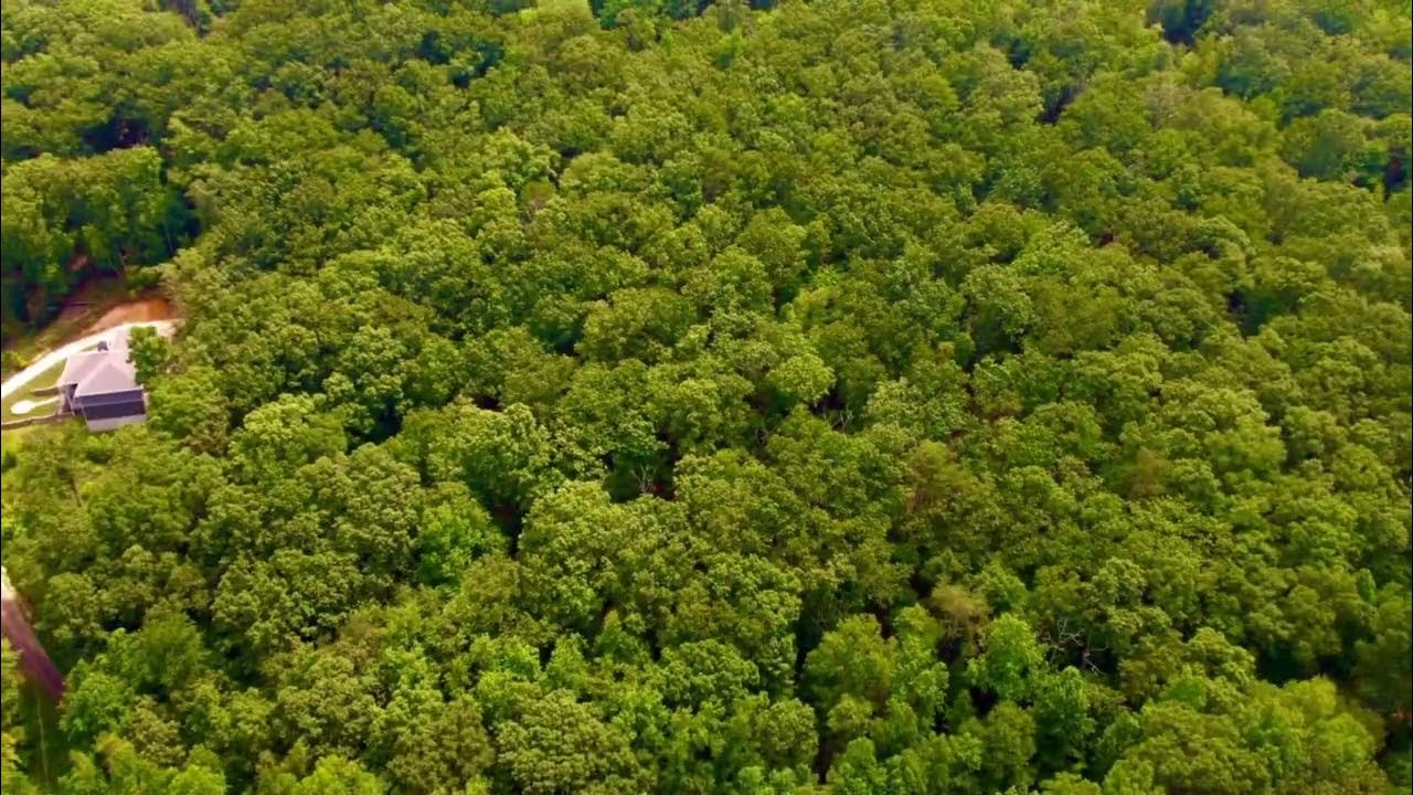 Sherwood Shores Dr Land Listing YouTube