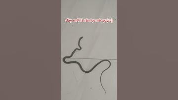 rắn lục mùa mưa hay vô nhà mọi người cận thận nha.