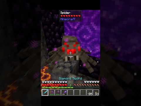 Why Are You Here! #minecraft #minecraftsurvival #minecraftgameplay #minecraftshorts #shorts