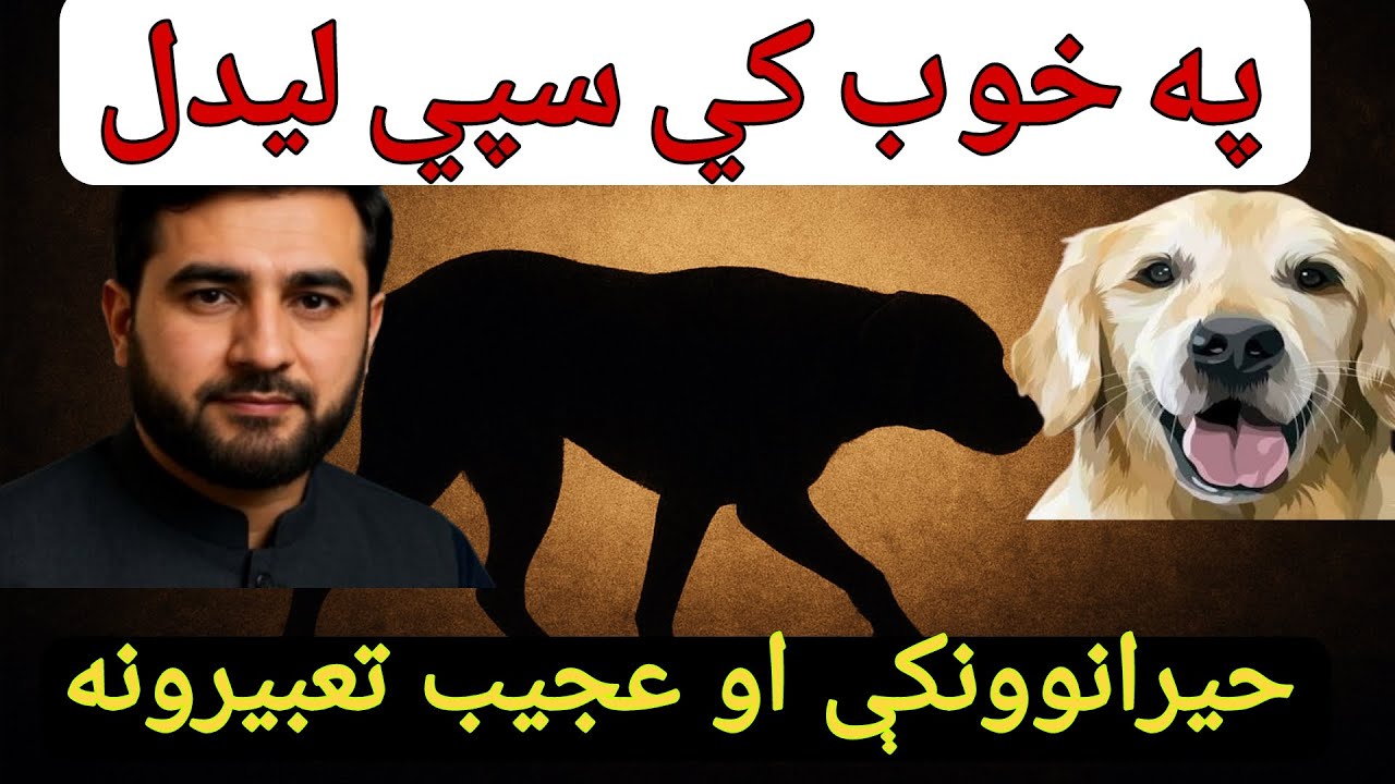 په خوب کې د سپي لیدل – خطر، دښمن که وفاداري؟