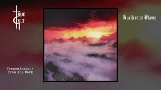 Download Lagu Auriferous Flame - The Great Mist Within (full album, 2022) MP3