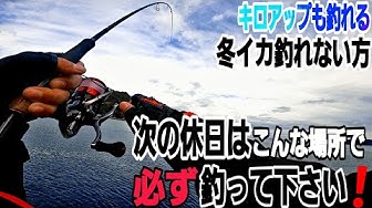 冬イカ Youtube