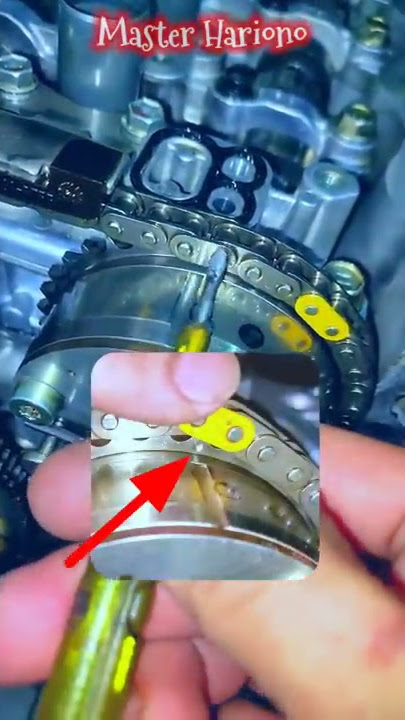 Jumped Timing Chain 1 Gear