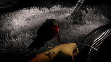 Bioshock infinite gameplay part 3 Walkthrough.