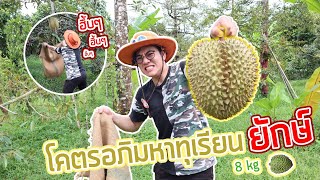 เก็บทุเรียนยักษ์จันทบุรี โคตรใหญ่ 8 กิโล #เกือบขาฉีก นักล่าวัตถุดิบEP.1