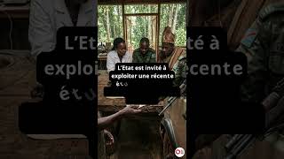 RDC : La déforestation au parc de Kahuzi-Biega n’est pas le fait des Batwa #afrique  #climatechange