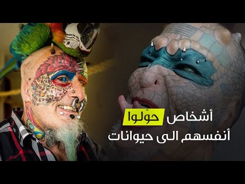 فيديو: فن الطوابع