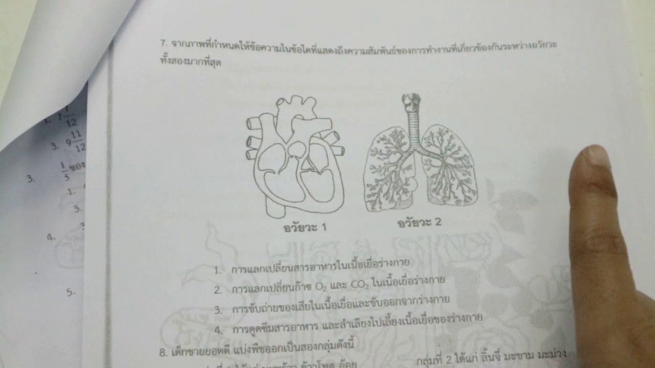 Part1 เฉลยแนวข้อสอบ วิทยาศาสตร์ สอบเข้า ม1 | สังเคราะห์เนื้อหาที่สมบูรณ์ที่สุดเกี่ยวกับแนว ข้อสอบ เข้า ม 1 วิทยาศาสตร์ พร้อม เฉลย pdf