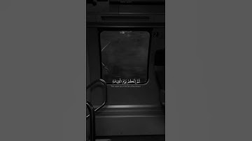 إنك ميت وإنهم ميتون  ثم إنكم يوم القيامة عند ربكم تختصمون | سورة الزمر | القارئ ماهر المعيقلي