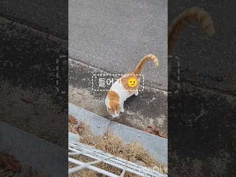 요기서 함모니가 해줘 😐