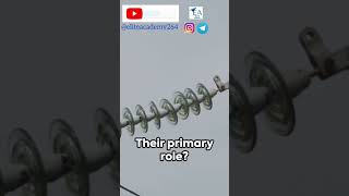 Insulator #transmissionline #electricalengineering #eliteacademy #eee #viral #education