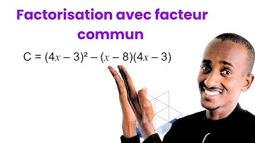 Factorisation