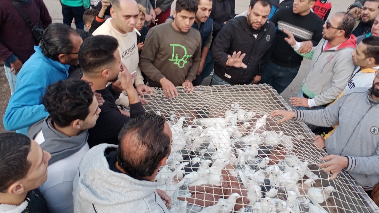 احلي رميه_ باب الشعريه_والدويقه#حسين_الخطيب