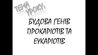 БУДОВА ГЕНІВ ЕУКАРІОТІВ ТА ПРОКАРІОТІВ