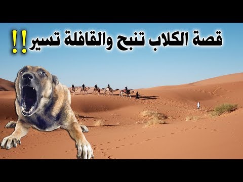 فيديو: ماذا تعني عبارة 