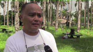 Status Koningspalmen In De Palmentuin, Wordt Door Boomklimmers Beoordeeld Stvs Journaal 14 Mei 2023