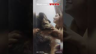 Luv U Mom...???#love #shorts  #germanshepherd #adorable #short  #dogs #trend #viral #youtubeshorts