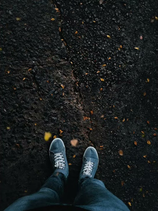 Person Standing On Asphalt Ground With Leaves Falling - Free Stock Videos Footage