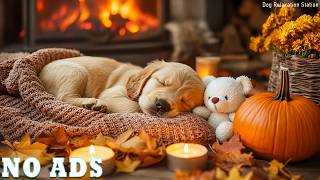 3 Hours of Healing Dog Music💕💤Help Dogs Feel Relaxing🐕Deep Sleep Therapy & Gentle Anxiety Soothing