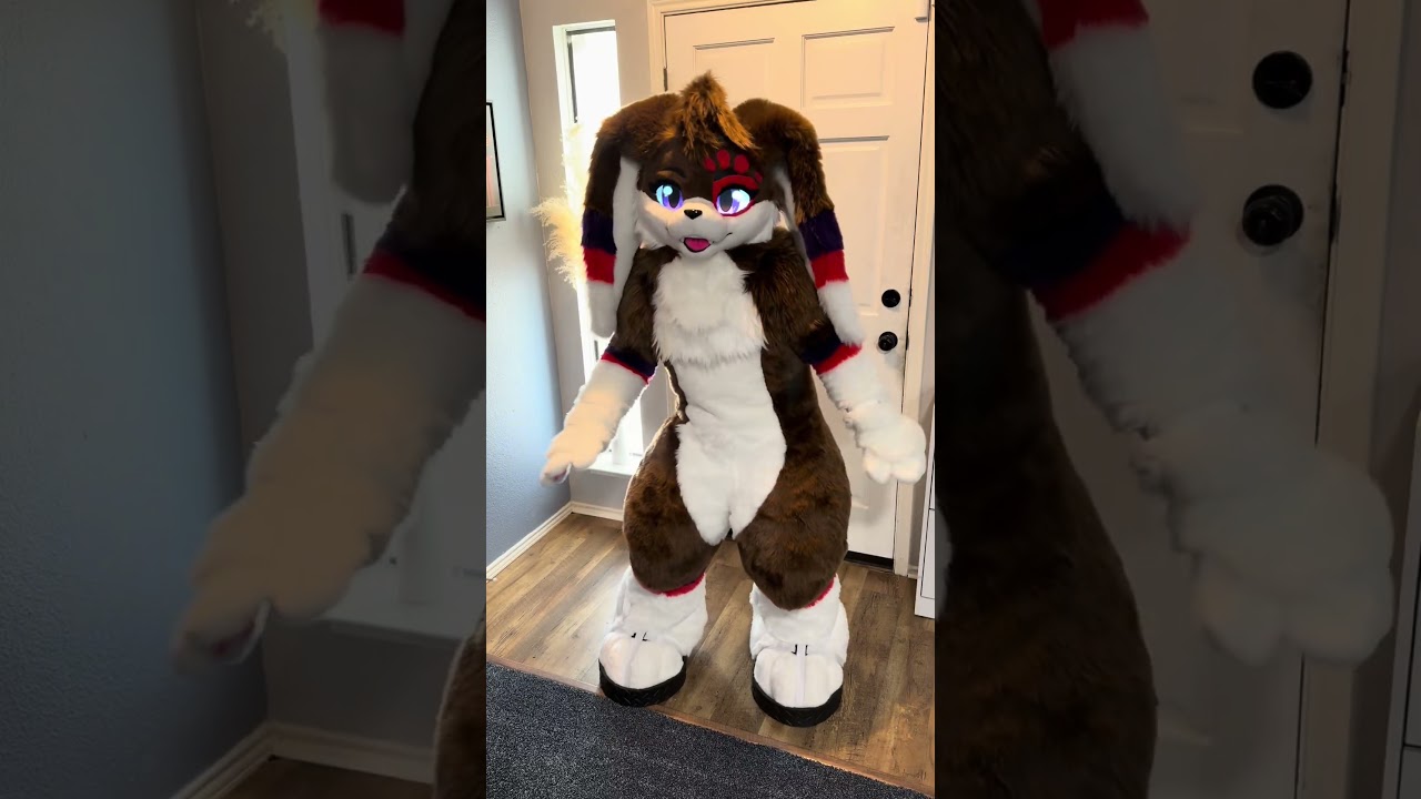 I turned into a small bunny
