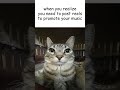 This cat chose to speak facts  #freed #metal #sherema #2025
