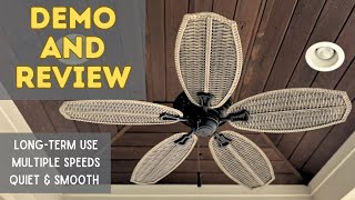 Everything you need to know about Hampton Bay Palm Beach Fan