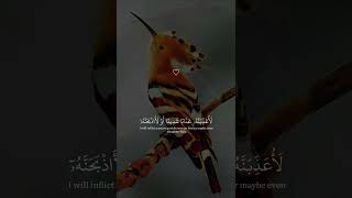 أرح سمعك وقلبك بلقرآنforyou video viralvideo shortsviral shortsvideo subscribe share video