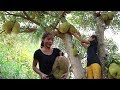 Catch fish meet natural jackfruit for food - Natural jackfruit fruit eating delicious #19