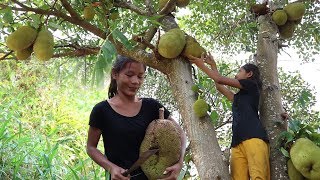Catch fish meet natural jackfruit for food - Natural jackfruit fruit eating delicious #19